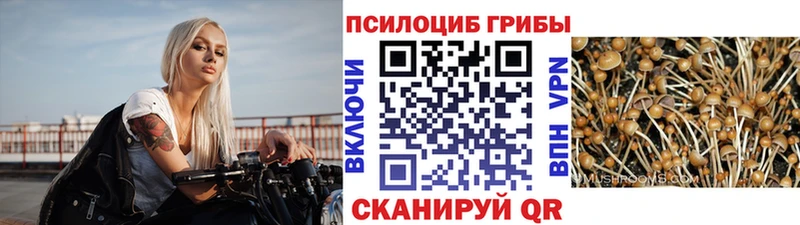 Галлюциногенные грибы MAGIC MUSHROOMS Инза